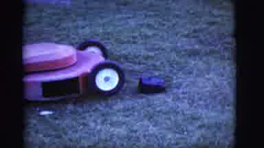 Arizona USA (1968): A Red Lawnmower Is Being Pushed By Someone And A Big Dog Is
