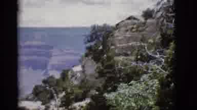 Arizona USA (1968): Partial Panorama Of Sparse Trees And Rocks With A Canyon In