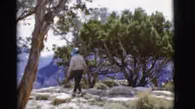 Arizona USA (1968): A Person Walking Through An Open Area In The Wild With Rocks