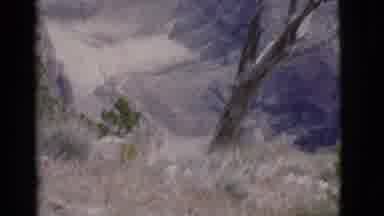 Arizona USA (1968): Two Women Walk Past Dead Tree On A Sunny Day