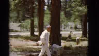 Arizona USA (1968): A Man Walking Through A Wooded Cemetery On A Sunny Day