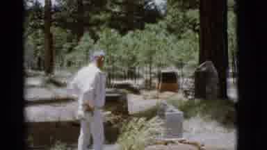 Arizona USA (1968): Man In The Middle Of Forest Walks Over Looks At Something And