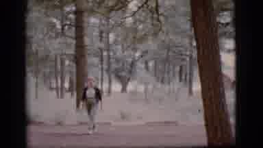 Flagstaff Arizona (1968): A Quick Recording Of A Walkthrough In The Forest