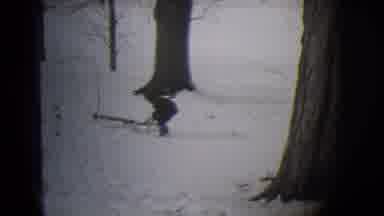 Buffalo New York (1944): Fun To Be Sledging On The Snow No Matter How Long Will It