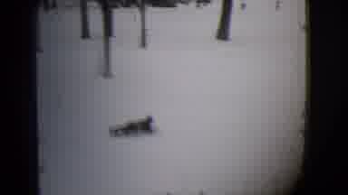 Buffalo New York (1944): Person Lying On Their Stomach On Sled Gliding Down A Snow
