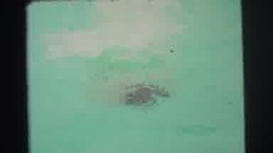 Yellowstone Wyoming USA (1971): Red Hair Boy Swims In Swimming Pool Goes