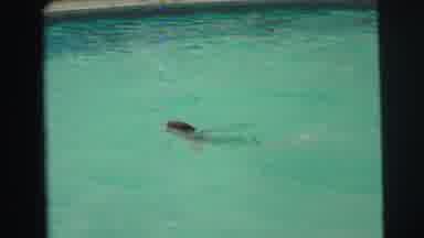 Yellowstone Wyoming USA (1971): Young Boy Swimming In The Clear Water Of A Public