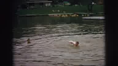 Superior Wisconsin (1973): Kids Having A Fun Day Swimming And Refreshing In A Lake