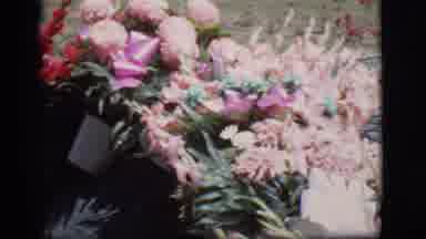 Des Moines Iowa (1966): Violet And Pink Flowers Arranged On The Ground While Wind