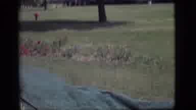 Des Moines Iowa (1966): Camera Captures The Natural Scenery At The Venue Then