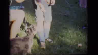 Des Moines Iowa (1966): Three People In Yard Trying To Train A Small Dog By Using