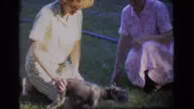 Des Moines Iowa (1966): Family Gathering On A Nice Day