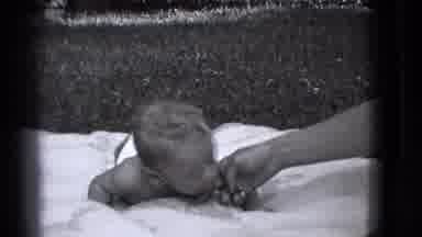 Trenton New Jersey (1941): Old Black And White Baby Wearing Diapers In The Garden