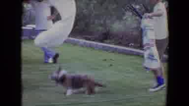 Flagstaff Arizona-1961: Dog Plays In Backyard With Family