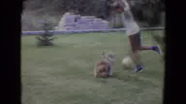 Flagstaff Arizona (1961): Young Boy Plays With Small Dog In Yard Dog Chases Ball