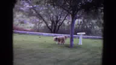 Flagstaff Arizona (1961): Let's Play Catch