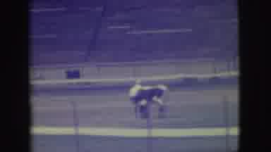 Denver Colorado (1949): Rodeo Bull Wrestles Man To The Ground