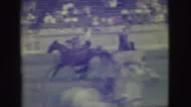 Denver Colorado (1949): Man Chases Steer And Wrestles It To The Ground As Other