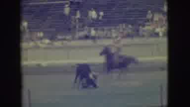 Denver Colorado (1949): Cowboy Wrestles Bull In Rodeo With Man On Horseback And