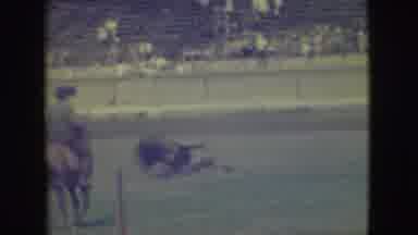 Denver Colorado (1949): Kids Playing Matador With Dog Then Bull Dropping To The