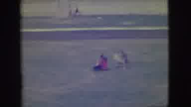 Denver Colorado (1949): Two Children Playing With Dog And Flags While Adult Looks