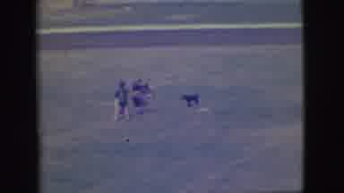 Denver Colorado (1949): Kids Playing Matador With Dog Then Bull Riding