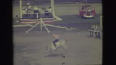 Denver Colorado (1949): Man Rides Bulls And Struggles To Hold On As The Bull Bucks