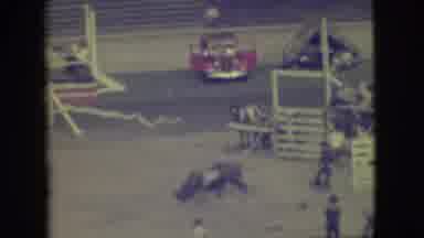 Denver Colorado (1949): Man Falls Off Brown Bull At Rodeo On A Clear Day
