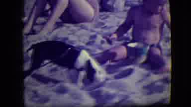Asbury Park New Jersey (1946): Dog Dig In The Beach Sand While Baby Play With His