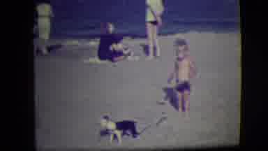 Asbury Park New Jersey (1946): A Boston Terrier Puppy Taken To The Beach While