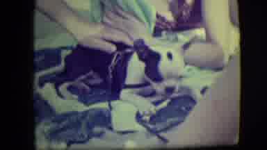 Asbury Park New Jersey (1946): Puppy On Beach Towel Chewing On Stuck And A Little