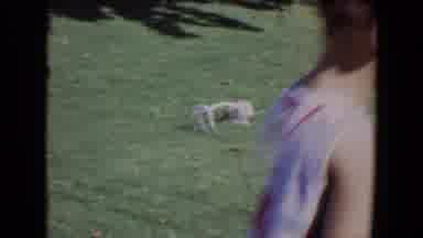 Davis California-1967: A Little Girl Walks Across Yard as Man Crouches with Dog