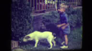 River Forest Illinois (1946): Little Boy And Dog Both Enjoy The Day Today