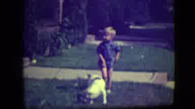 River Forest Illinois (1946): A Boy Playing With A Dog In A Yard The Dog Walks Off