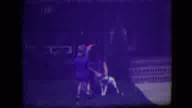 River Forest Illinois (1946): Little Boy Playing With A Dog