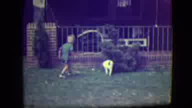 River Forest Illinois (1946): Boy Dog Play Ball Pee Bushes Active Running Throwing