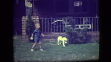 River Forest Illinois (1946): Kid Playing Fetch With His Dog Outside On The Yard
