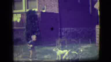River Forest Illinois (1946): Little Boy About Holding A Ball About To Play Fetch