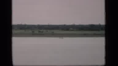 Bombay India (1946): Landscape At The Bottom Of A Green Field At The Edge Of A