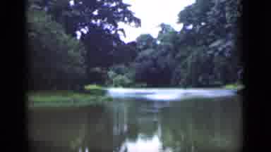 Bombay India (1946): A Small Dark Lake Surrounded By Tropical Trees And Plants
