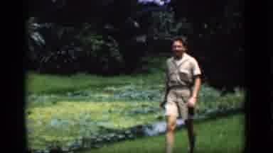 Bombay India (1946): Important Things Found In Our Forest
