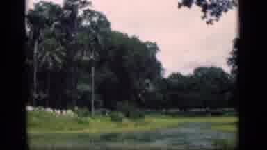 Bombay India (1946): Pond Surrounded By Green Grass And Wooded Area Then Skipping