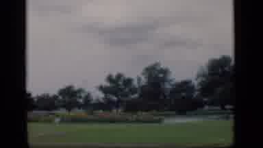 Bombay India (1946): Beautiful Lake Scene Flowering Bushes Mature Trees Green