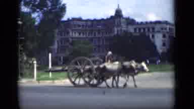 Bombay India (1946): Mules Pulling A Buggy Down The Road And Then The Outside If A