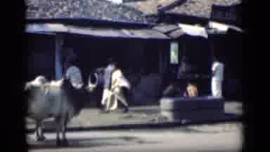 Bombay India (1946): View Of Wooden Cart With Pair Of White Oxen On A Sunny Day