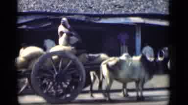Bombay India (1946): Ox Cart In Middle Of A Street Loaded With Bags