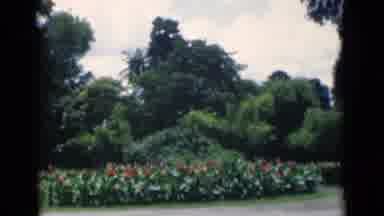 Calcutta India (1946): Flowers Bloom Next To A Dirt Road And Path With Trees