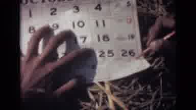 India (1946): Monkeys All Sit And Look Out A Cage And A Lady Circles The Date