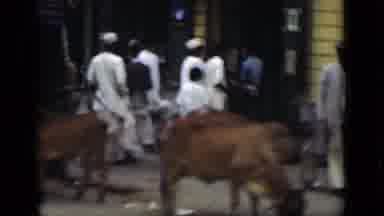 Suez Canal Egypt (1946): Vendors People And Cows In The City Streets Of India