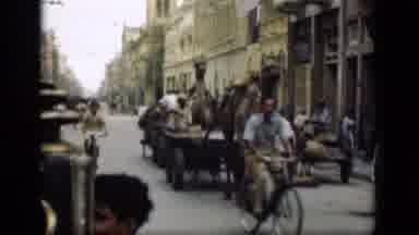 Suez Canal Egypt (1946): Middle East Camels And Cow Transporting Supplies With